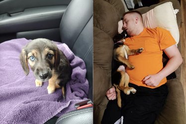 Top Moments from the #IDidntWantADog Challenge