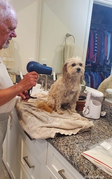Top Moments from the #IDidntWantADog Challenge