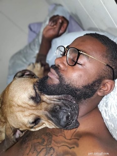 Top Moments from the #IDidntWantADog Challenge