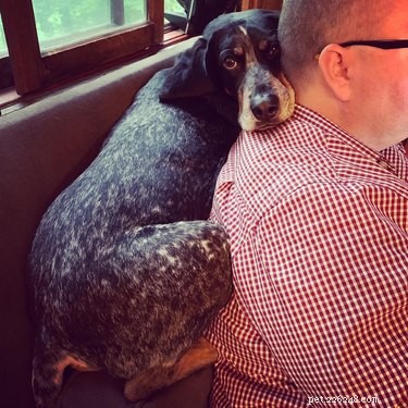 Top Moments from the #IDidntWantADog Challenge