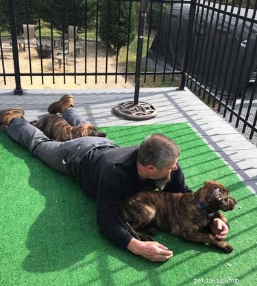 Top Moments from the #IDidntWantADog Challenge
