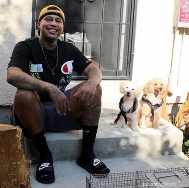 The Ultimate Smiling Dog Challenge Highlights