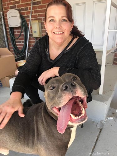 The Ultimate Smiling Dog Challenge Highlights