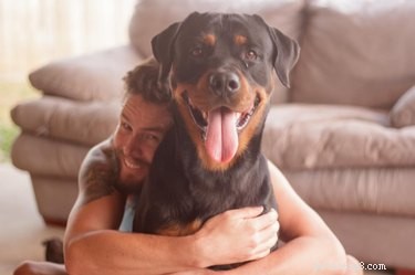 The Ultimate Smiling Dog Challenge Highlights