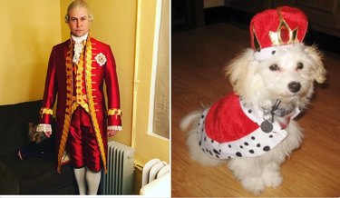 Hamilton as Dogs: Instagram’s Trending Tribute to Musicals & Pets