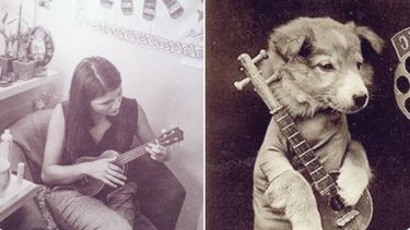 Hamilton as Dogs: Instagram’s Trending Tribute to Musicals & Pets