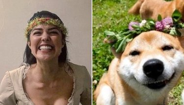 Hamilton as Dogs: Instagram’s Trending Tribute to Musicals & Pets