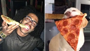 Hamilton as Dogs: Instagram’s Trending Tribute to Musicals & Pets