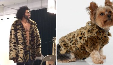 Hamilton as Dogs: Instagram’s Trending Tribute to Musicals & Pets