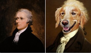 Hamilton as Dogs: Instagram’s Trending Tribute to Musicals & Pets