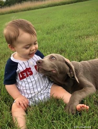19 Dogs Thriving with Their New Human Companions