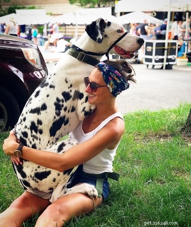 18 Large Dogs Who Still Love Lap Cuddles