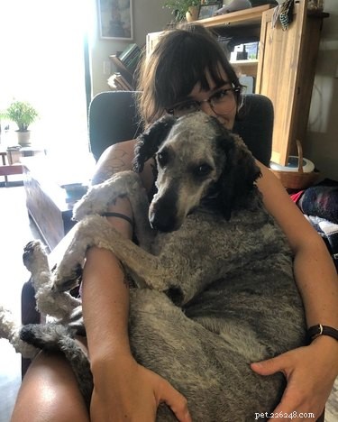 18 Large Dogs Who Still Love Lap Cuddles