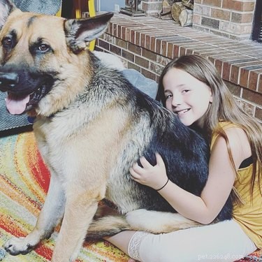 18 Large Dogs Who Still Love Lap Cuddles