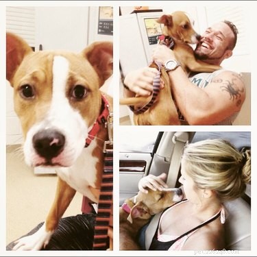 18 Adopting Dogs Reunited with Their Forever Homes