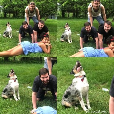 18 Adorable Dog Photos That Will Bring a Smile to Your Face