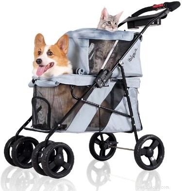 16 Adorable Dogs Riding Strollers That Will Brighten Your Day