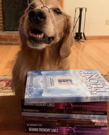 18 Book-Loving Dogs That Turn Pages With Passion