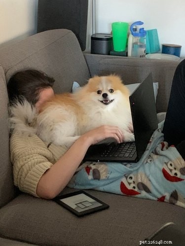 17 Adorable Dog Photos Guaranteed to Brighten Your Day