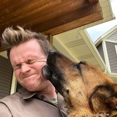 17 Dogs Who Can t Wait to Meet Their UPS Delivery Driver