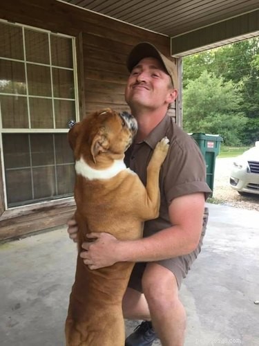 17 Dogs Who Can t Wait to Meet Their UPS Delivery Driver