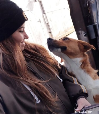 17 Dogs Who Can t Wait to Meet Their UPS Delivery Driver