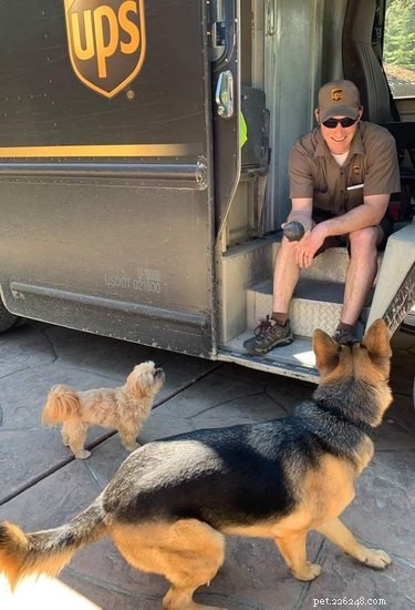 17 Dogs Who Can t Wait to Meet Their UPS Delivery Driver