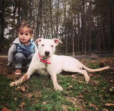 17 Heartwarming Moments of Dogs Bonding Across Species