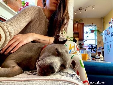 Heartwarming & Hilarious: Dog Owners Share Their Pets  Quirky Moments