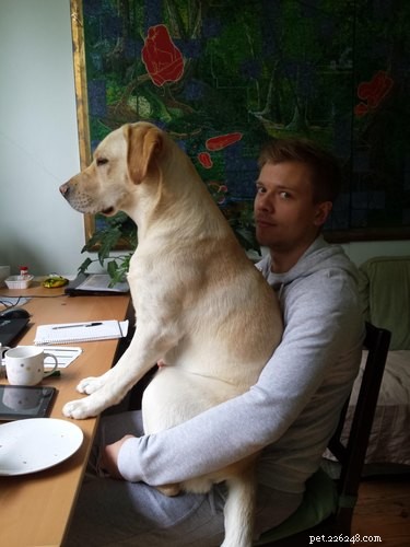16 Dogs Who Love Everyone (But Have No Personal Space)
