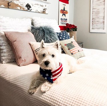 17 Patriotic Dogs That Celebrate America