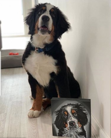 Capturing Canine Elegance: 15 Stunning Portraits of Dogs