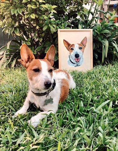 Capturing Canine Elegance: 15 Stunning Portraits of Dogs