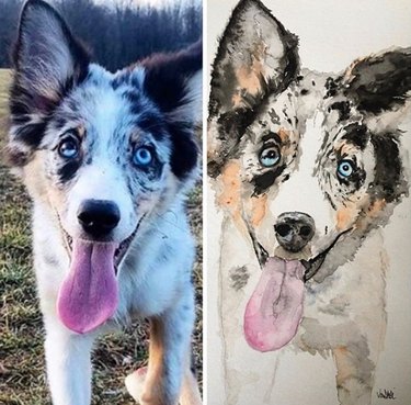 Capturing Canine Elegance: 15 Stunning Portraits of Dogs