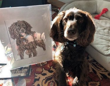 Capturing Canine Elegance: 15 Stunning Portraits of Dogs