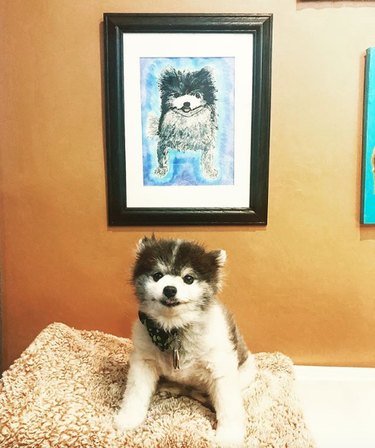 Capturing Canine Elegance: 15 Stunning Portraits of Dogs