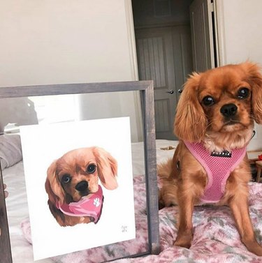 Capturing Canine Elegance: 15 Stunning Portraits of Dogs
