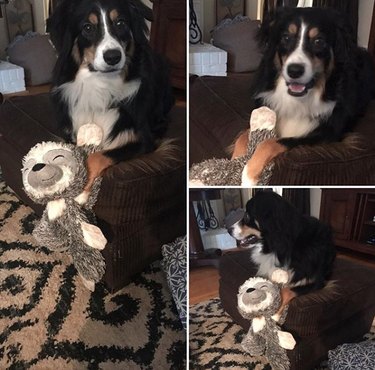 17 Top Dog Toys Every Pup Loves