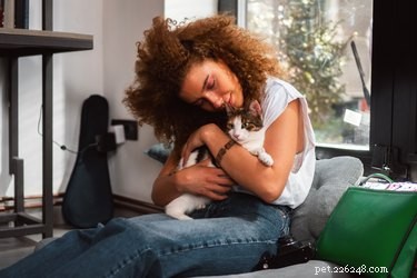Do All Cats Hate Being Picked Up? Find Out Which Cats Enjoy the Affection