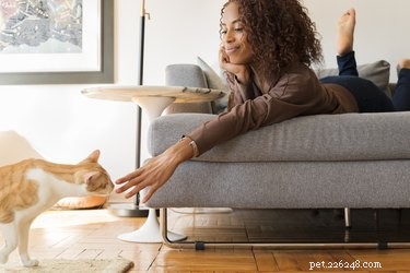 Why Cats Are Attracted to Strong Smells: The Science Behind Their Love of Odors