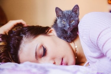 Why Do Cats Wake You Up at Night? Expert Answers & Solutions