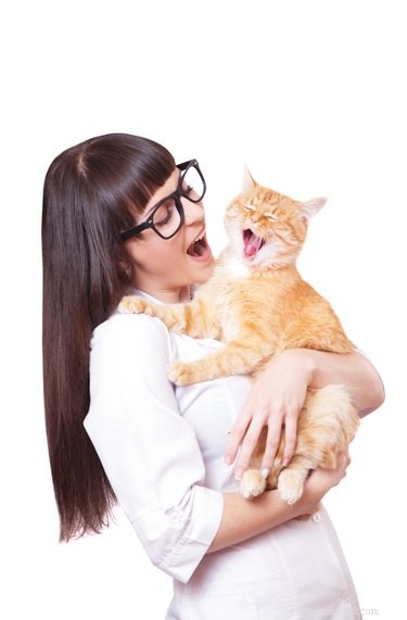 Why Do Cats Bite When You Sing? Understanding Your Cat’s Reaction