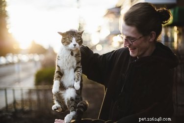 Emergency Cat Restraint Guide: Safely Secure Your Feline