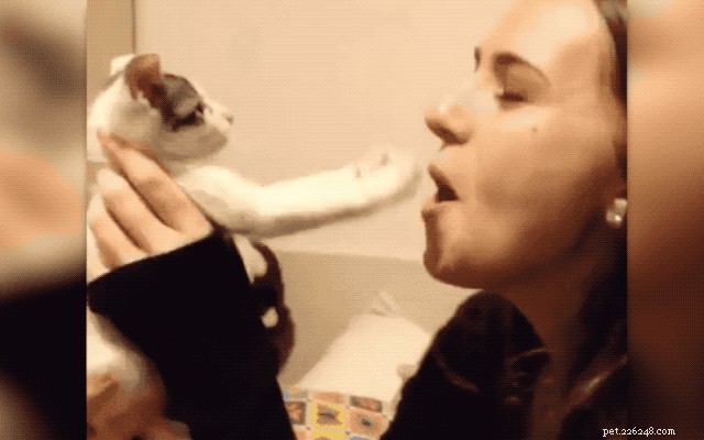 Is My Cat a Psychopath? What the Science Says About Feline Behavior
