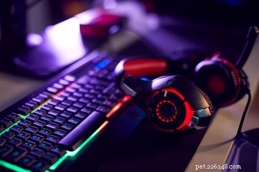 236 Video Game-Inspired Cat Names for Gamers & Feline Friends