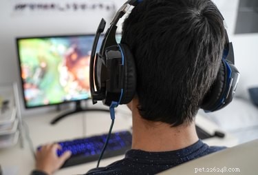 236 Video Game-Inspired Cat Names for Gamers & Feline Friends