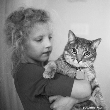159 Hilarious Cat Names That Will Make You Laugh Out Loud