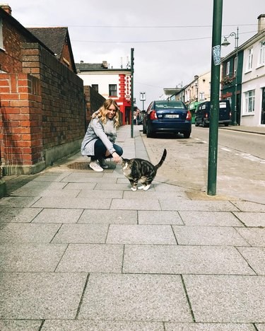 230 Authentic Irish Cat Names to Add Charm to Your Feline