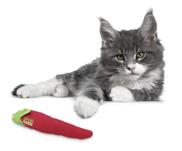 Top Catnip Toys of 2022: Boost Your Cat s Playtime