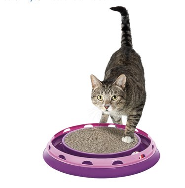 Top Cat Scratchers of 2022: Protect Your Furniture & Keep Your Cat Happy